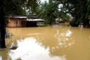 floods42.jpg