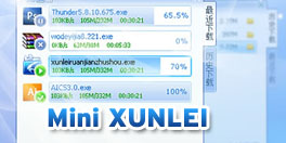 Xunlei 5 English Version